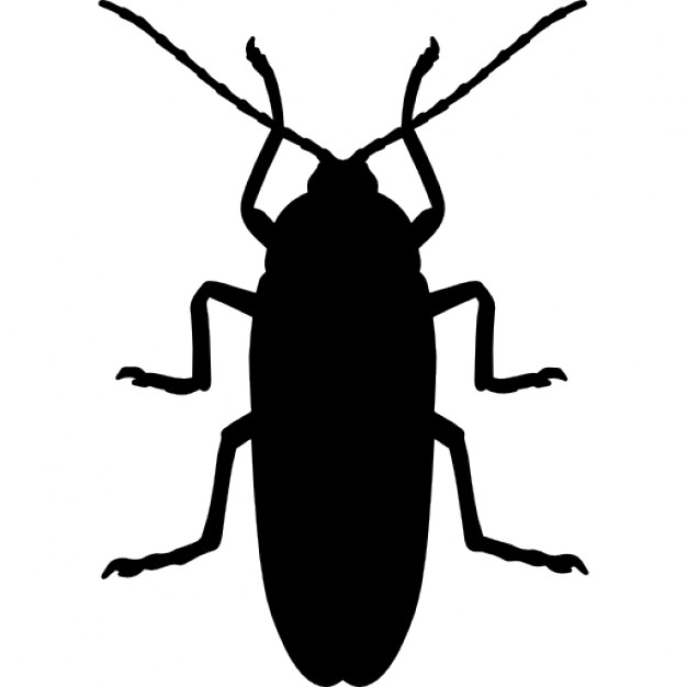 Novainsectos